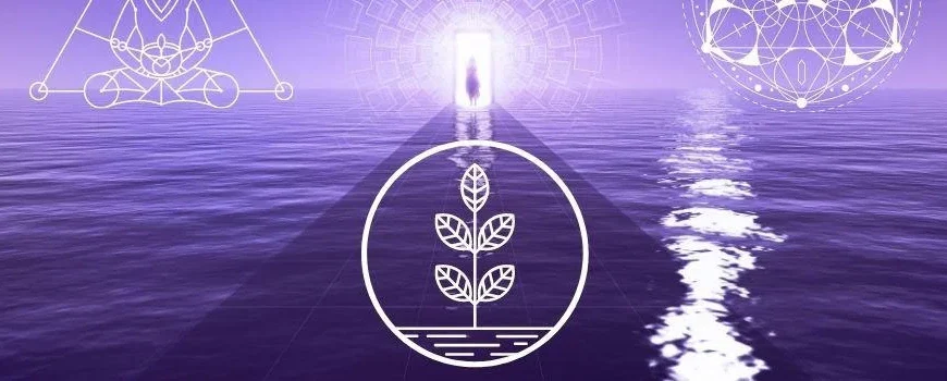 Astronumero 4 Element Analiz Eğitimi